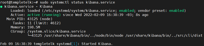 kibana-ubuntu-5.png